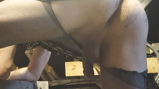 DWT Nylons