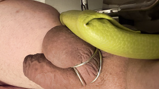 Penis Bilder Samlung