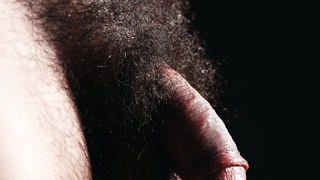 Aktfotoshooting