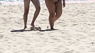 Ein Tag am Strand