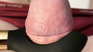 Fetter Schwanz und pralle Möpse